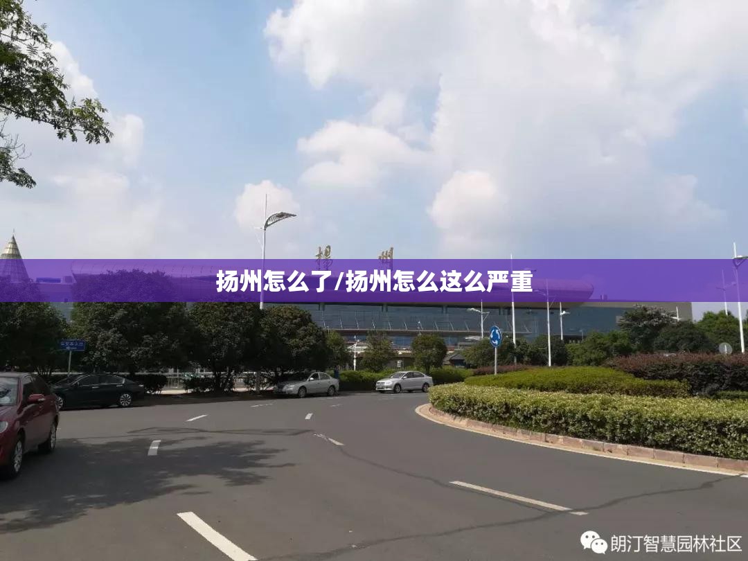 扬州怎么了/扬州怎么这么严重 扬州怎么了/扬州怎么这么严重