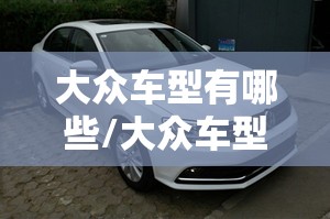 大众车型有哪些/大众车型有哪些系列 大众车型有哪些/大众车型有哪些系列