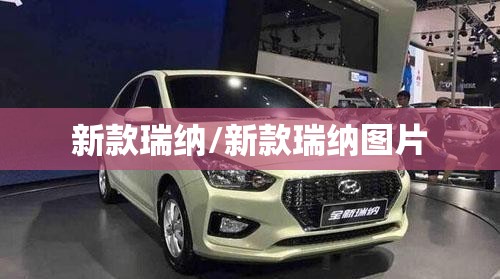 新款瑞纳/新款瑞纳图片 新款瑞纳/新款瑞纳图片