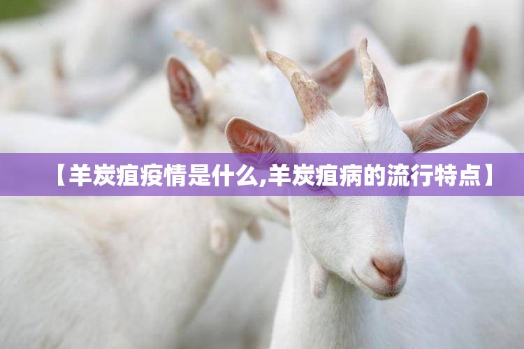 【羊炭疽疫情是什么,羊炭疽病的流行特点】 【羊炭疽疫情是什么,羊炭疽病的流行特点】