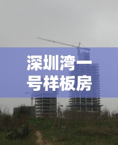 深圳湾一号样板房/深圳湾一号户型图大全