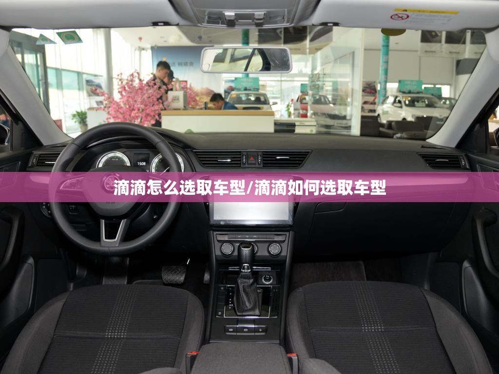 滴滴怎么选取车型/滴滴如何选取车型