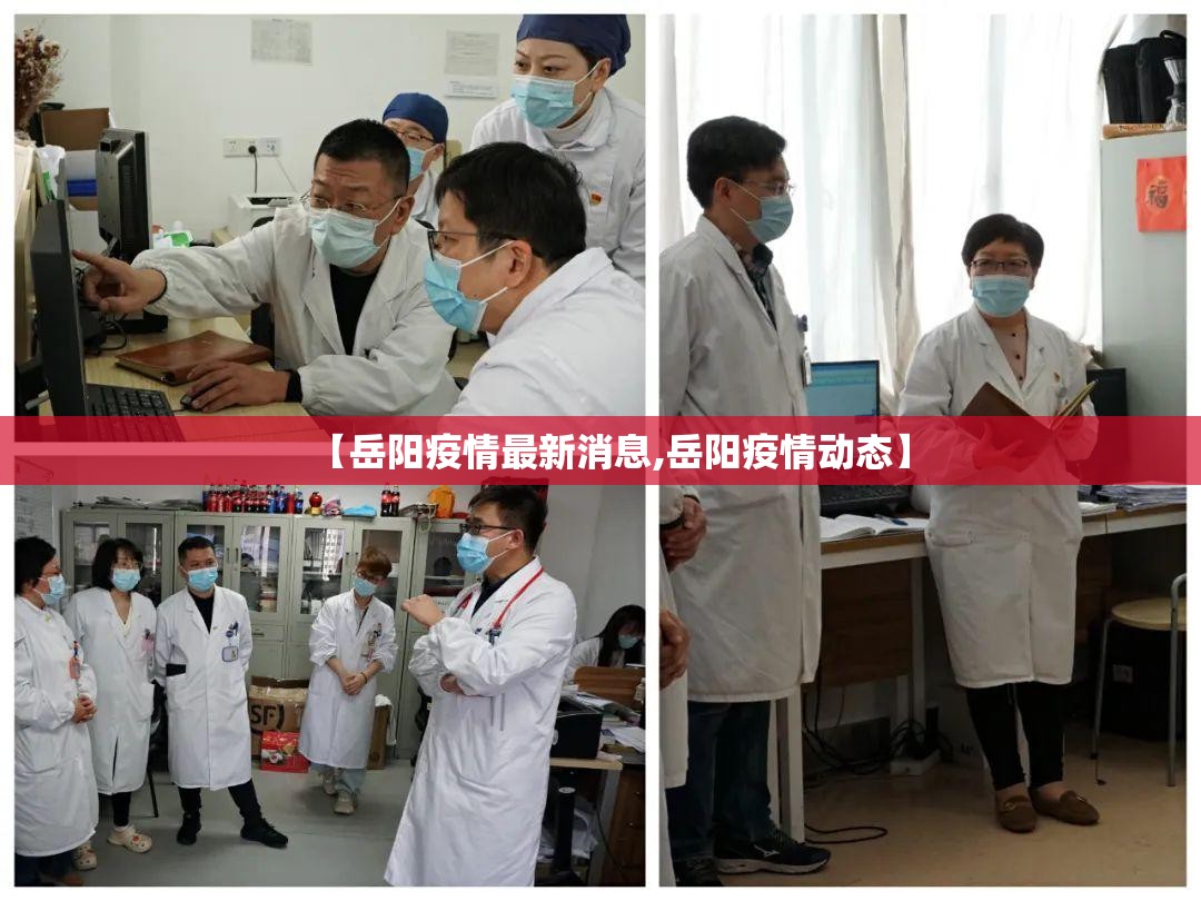 【岳阳疫情最新消息,岳阳疫情动态】 【岳阳疫情最新消息,岳阳疫情动态】