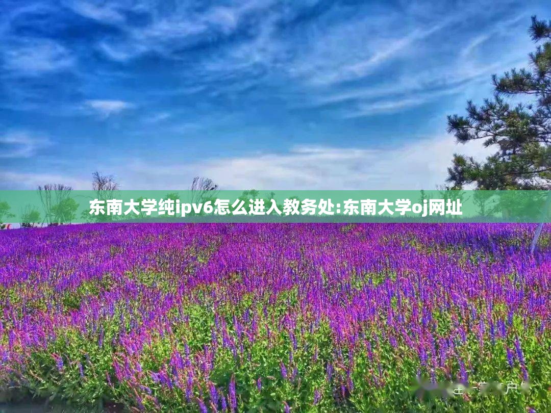 东南大学纯ipv6怎么进入教务处:东南大学oj网址
