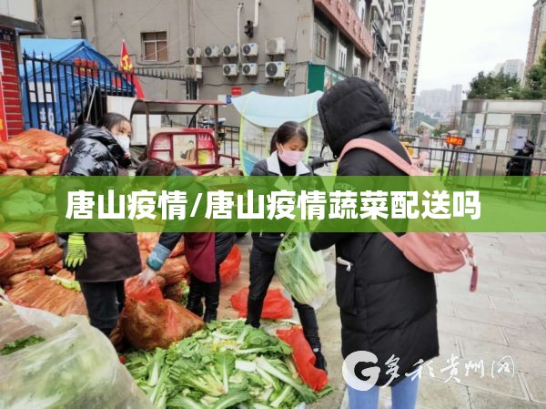 唐山疫情/唐山疫情蔬菜配送吗 唐山疫情/唐山疫情蔬菜配送吗