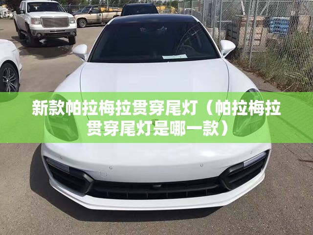 新款帕拉梅拉贯穿尾灯(帕拉梅拉贯穿尾灯是哪一款) 新款帕拉梅拉贯穿尾灯(帕拉梅拉贯穿尾灯是哪一款)
