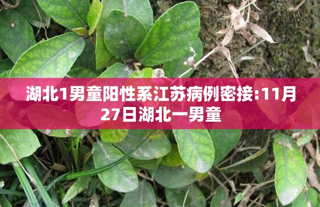 湖北1男童阳性系江苏病例密接:11月27日湖北一男童 湖北1男童阳性系江苏病例密接:11月27日湖北一男童