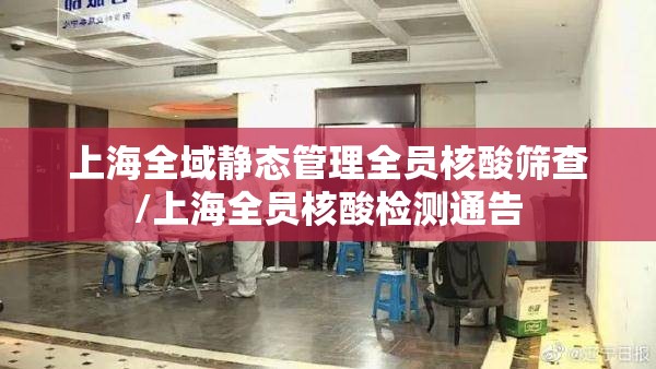 上海全域静态管理全员核酸筛查/上海全员核酸检测通告 上海全域静态管理全员核酸筛查/上海全员核酸检测通告