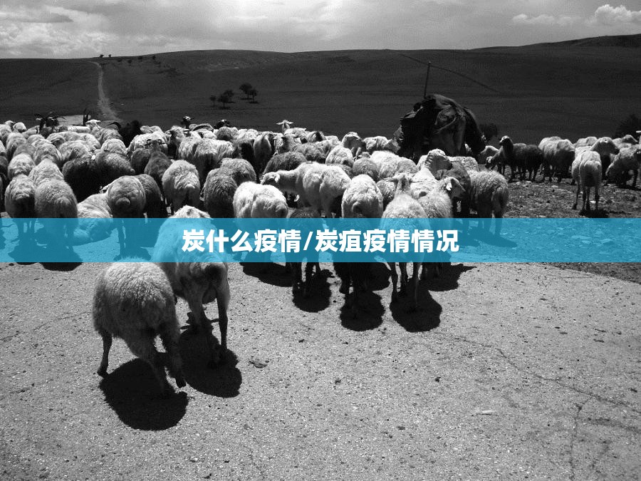 炭什么疫情/炭疽疫情情况 炭什么疫情/炭疽疫情情况