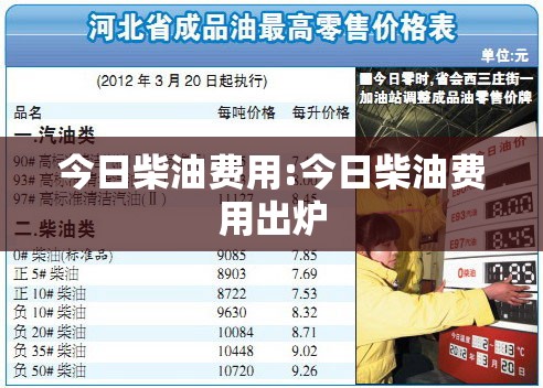 今日柴油费用:今日柴油费用出炉