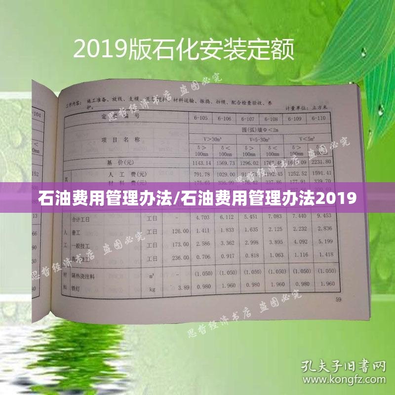 石油费用管理办法/石油费用管理办法2019