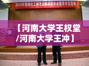 【河南大学王权堂/河南大学王冲】