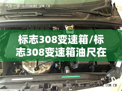 标志308变速箱/标志308变速箱油尺在哪 标志308变速箱/标志308变速箱油尺在哪
