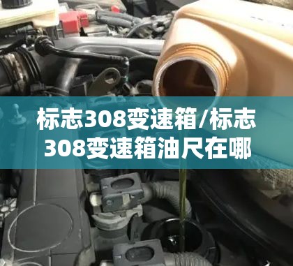 标志308变速箱/标志308变速箱油尺在哪 标志308变速箱/标志308变速箱油尺在哪