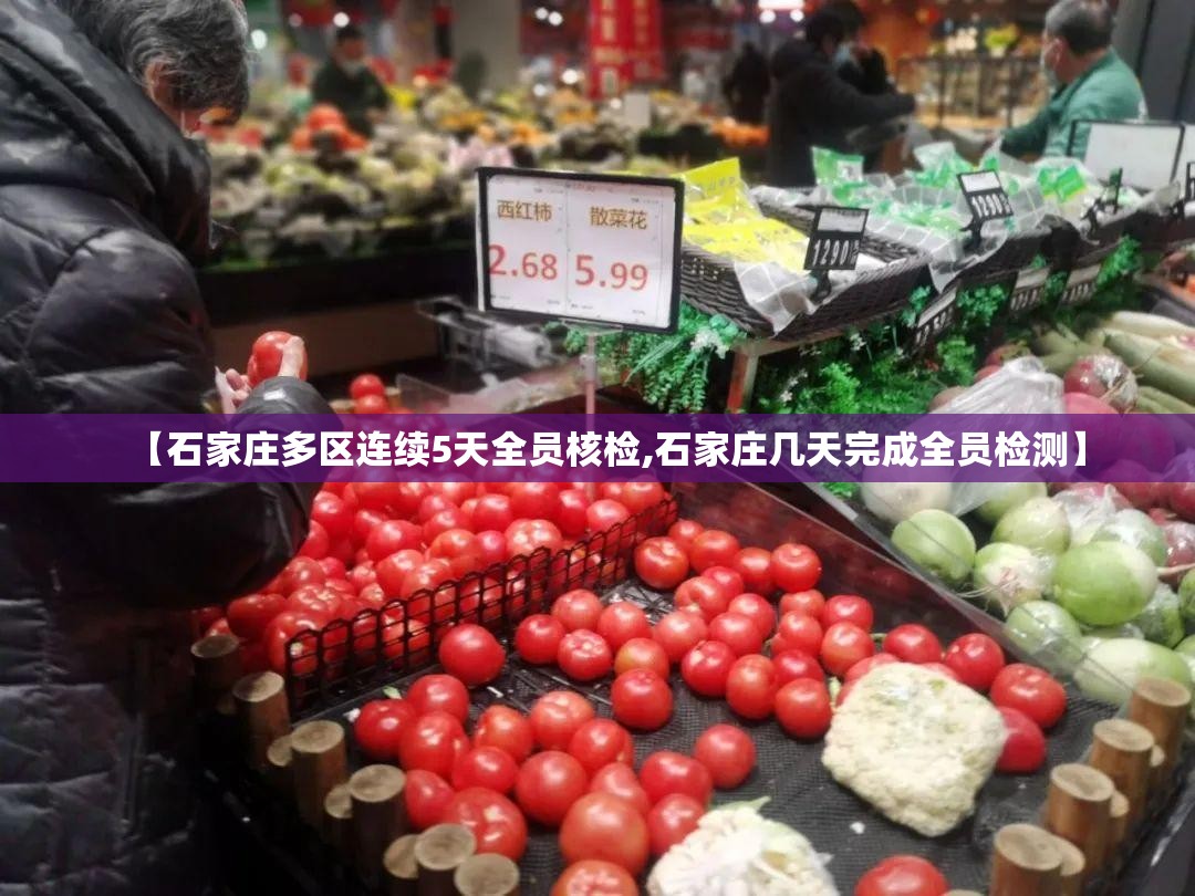 【石家庄多区连续5天全员核检,石家庄几天完成全员检测】 【石家庄多区连续5天全员核检,石家庄几天完成全员检测】