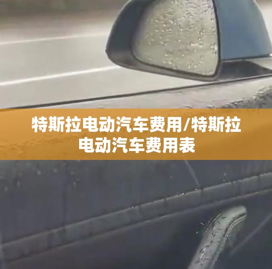 特斯拉电动汽车费用/特斯拉电动汽车费用表 特斯拉电动汽车费用/特斯拉电动汽车费用表