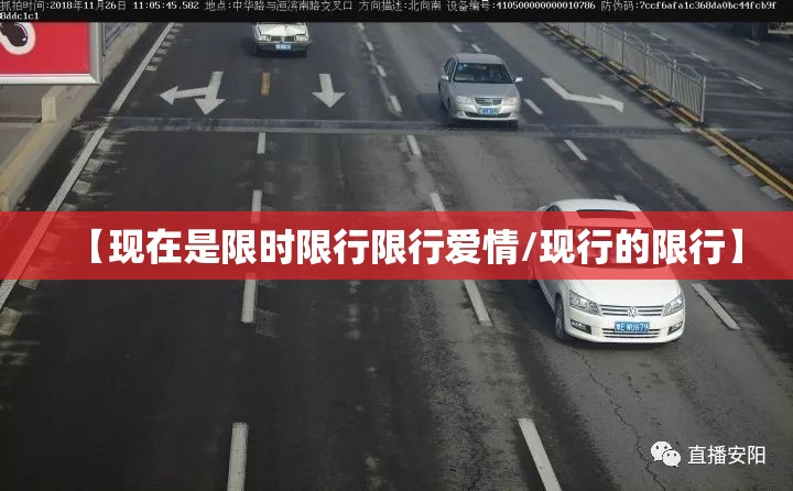 【现在是限时限行限行爱情/现行的限行】 【现在是限时限行限行爱情/现行的限行】