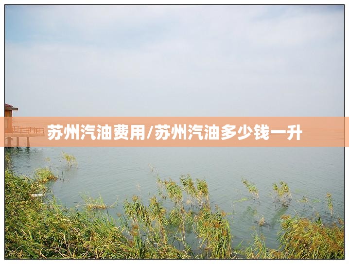 苏州汽油费用/苏州汽油多少钱一升 苏州汽油费用/苏州汽油多少钱一升