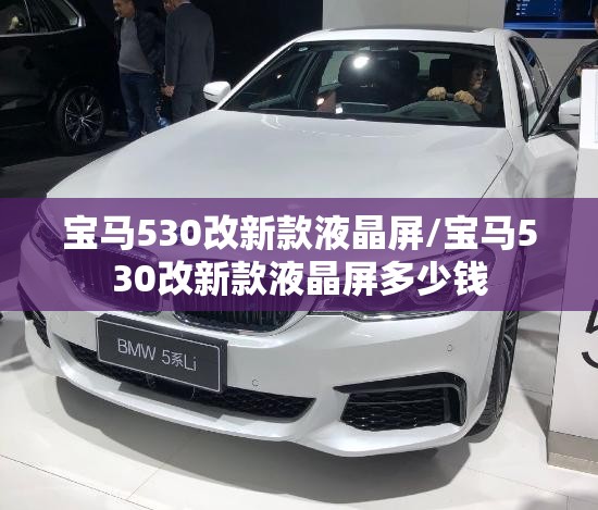 宝马530改新款液晶屏/宝马530改新款液晶屏多少钱 宝马530改新款液晶屏/宝马530改新款液晶屏多少钱