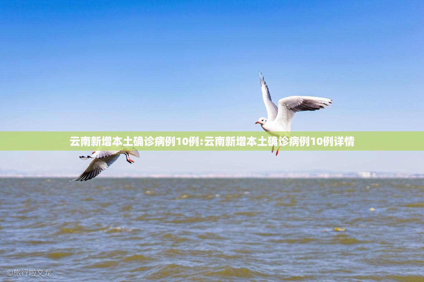 云南新增本土确诊病例10例:云南新增本土确诊病例10例详情 云南新增本土确诊病例10例:云南新增本土确诊病例10例详情