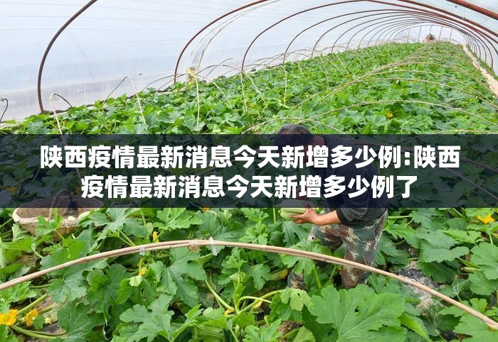 陕西疫情最新消息今天新增多少例:陕西疫情最新消息今天新增多少例了 陕西疫情最新消息今天新增多少例:陕西疫情最新消息今天新增多少例了