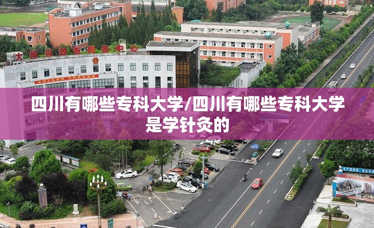 四川有哪些专科大学/四川有哪些专科大学是学针灸的