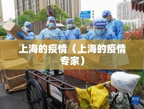 上海的疫情（上海的疫情专家）