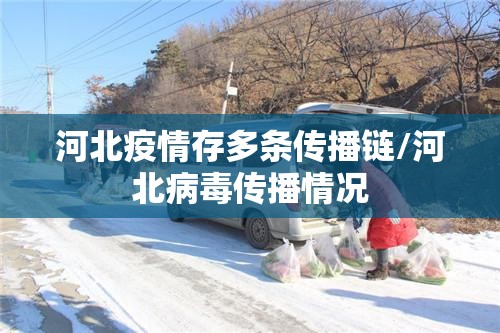 河北疫情存多条传播链/河北病毒传播情况