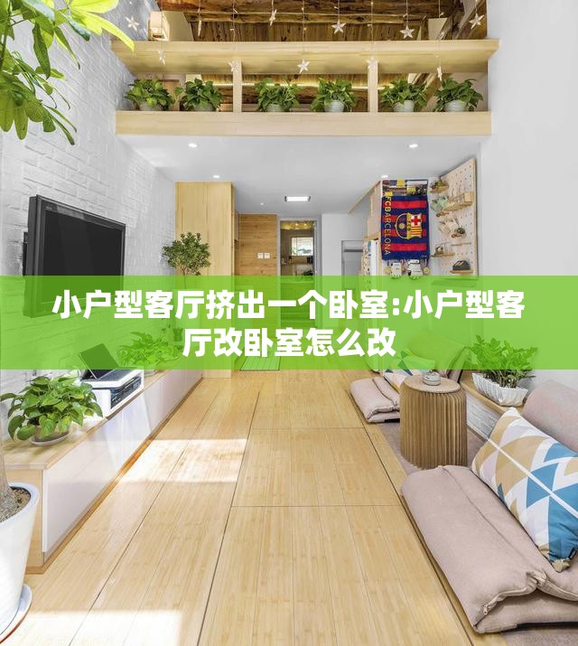 小户型客厅挤出一个卧室:小户型客厅改卧室怎么改
