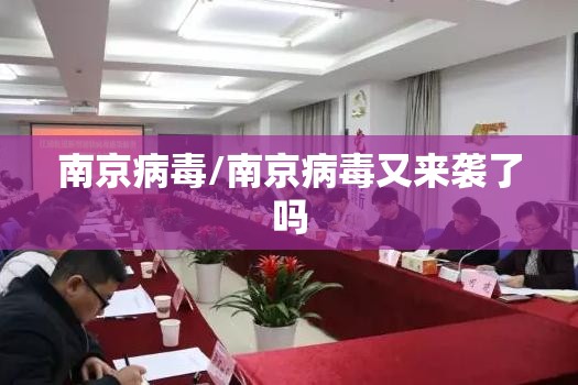 南京病毒/南京病毒又来袭了吗