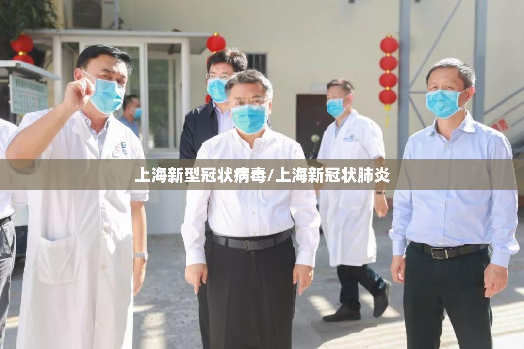 上海新型冠状病毒/上海新冠状肺炎 上海新型冠状病毒/上海新冠状肺炎