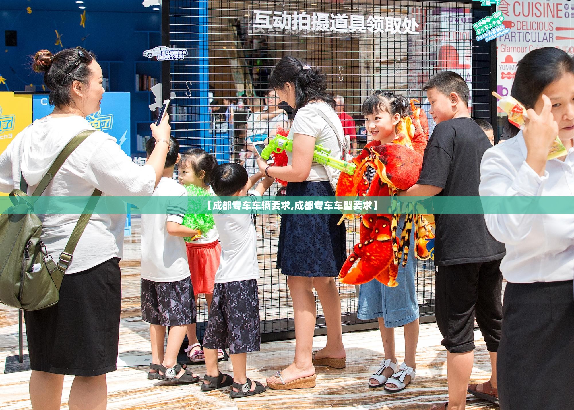 【成都专车车辆要求,成都专车车型要求】