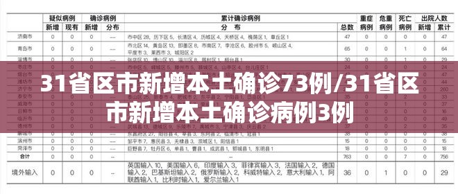 31省区市新增本土确诊73例/31省区市新增本土确诊病例3例 31省区市新增本土确诊73例/31省区市新增本土确诊病例3例