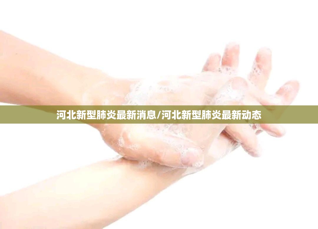 河北新型肺炎最新消息/河北新型肺炎最新动态 河北新型肺炎最新消息/河北新型肺炎最新动态