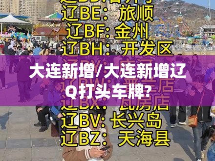 大连新增/大连新增辽Q打头车牌? 大连新增/大连新增辽Q打头车牌?