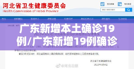 广东新增本土确诊19例/广东新增19例确诊详情