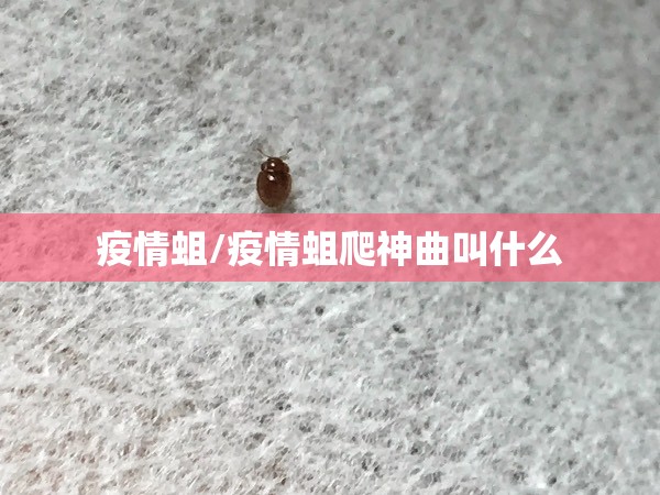 疫情蛆/疫情蛆爬神曲叫什么