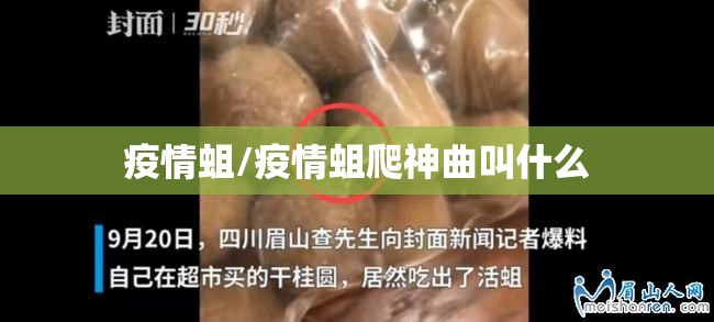 疫情蛆/疫情蛆爬神曲叫什么