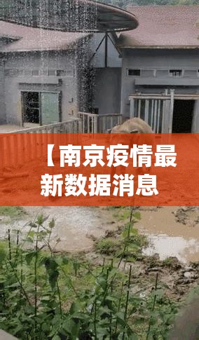 【南京疫情最新数据消息,南京疫情最新消息新增】