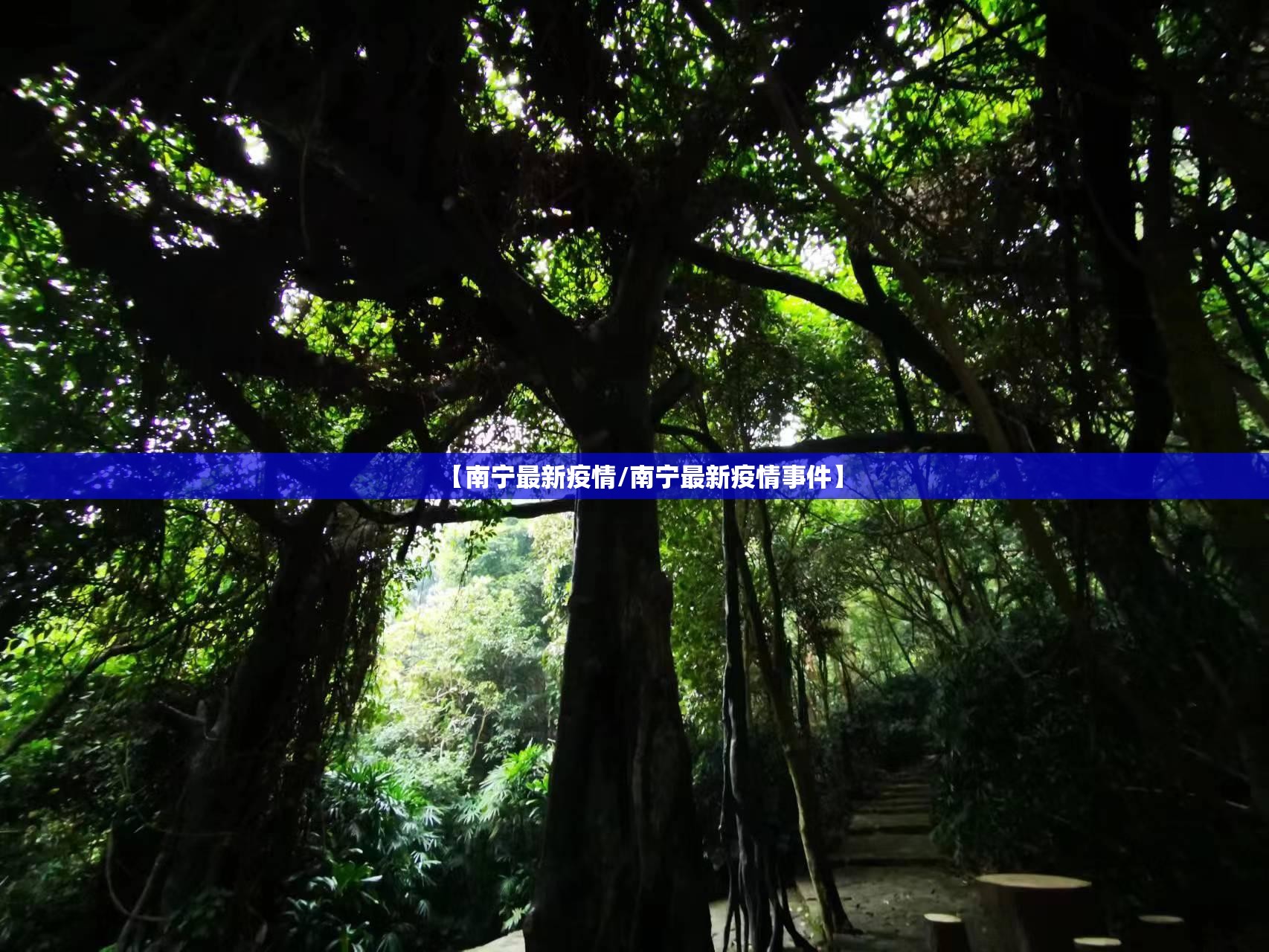 【南宁最新疫情/南宁最新疫情事件】
