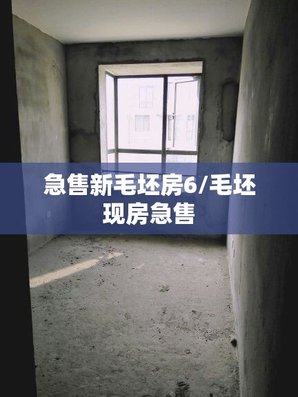 急售新毛坯房6/毛坯现房急售 急售新毛坯房6/毛坯现房急售