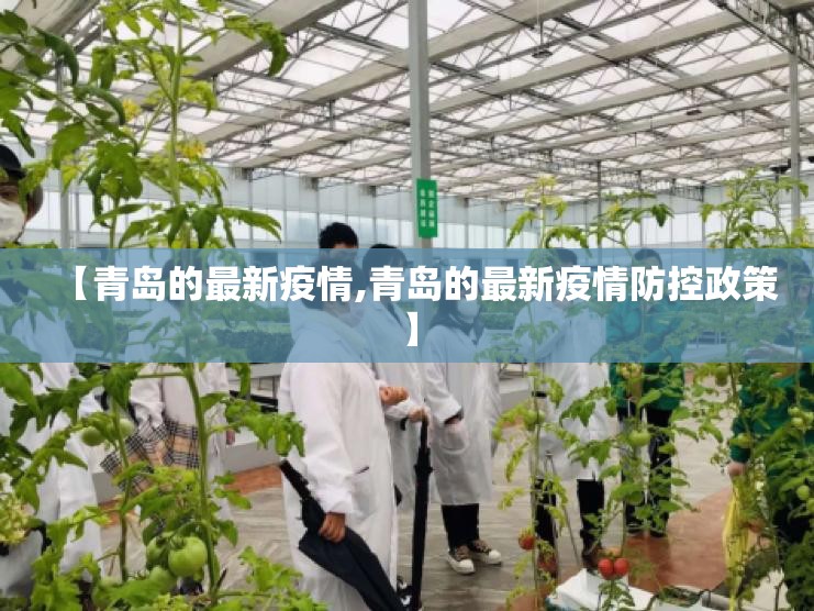 【青岛的最新疫情,青岛的最新疫情防控政策】 【青岛的最新疫情,青岛的最新疫情防控政策】