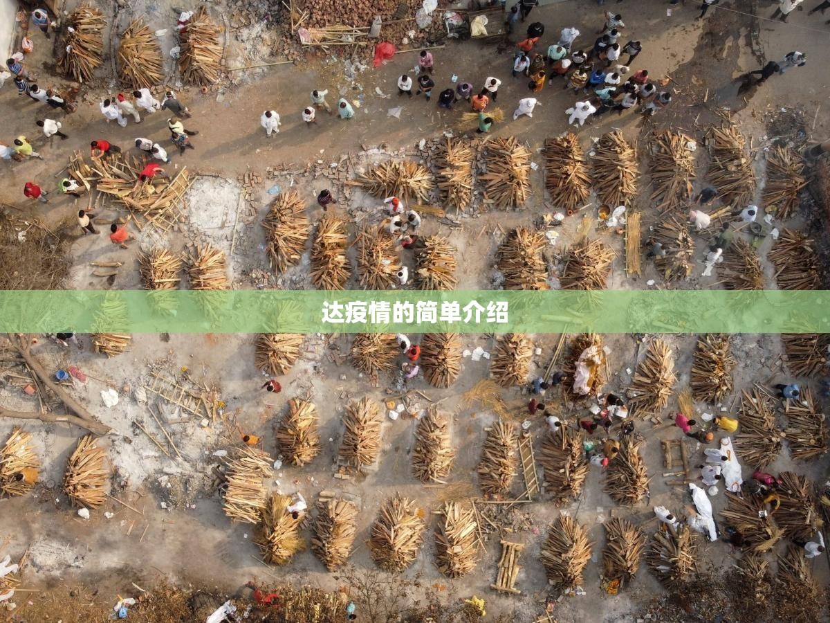 达疫情的简单介绍 达疫情的简单介绍