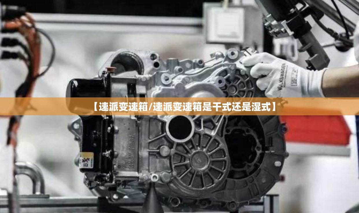 【速派变速箱/速派变速箱是干式还是湿式】