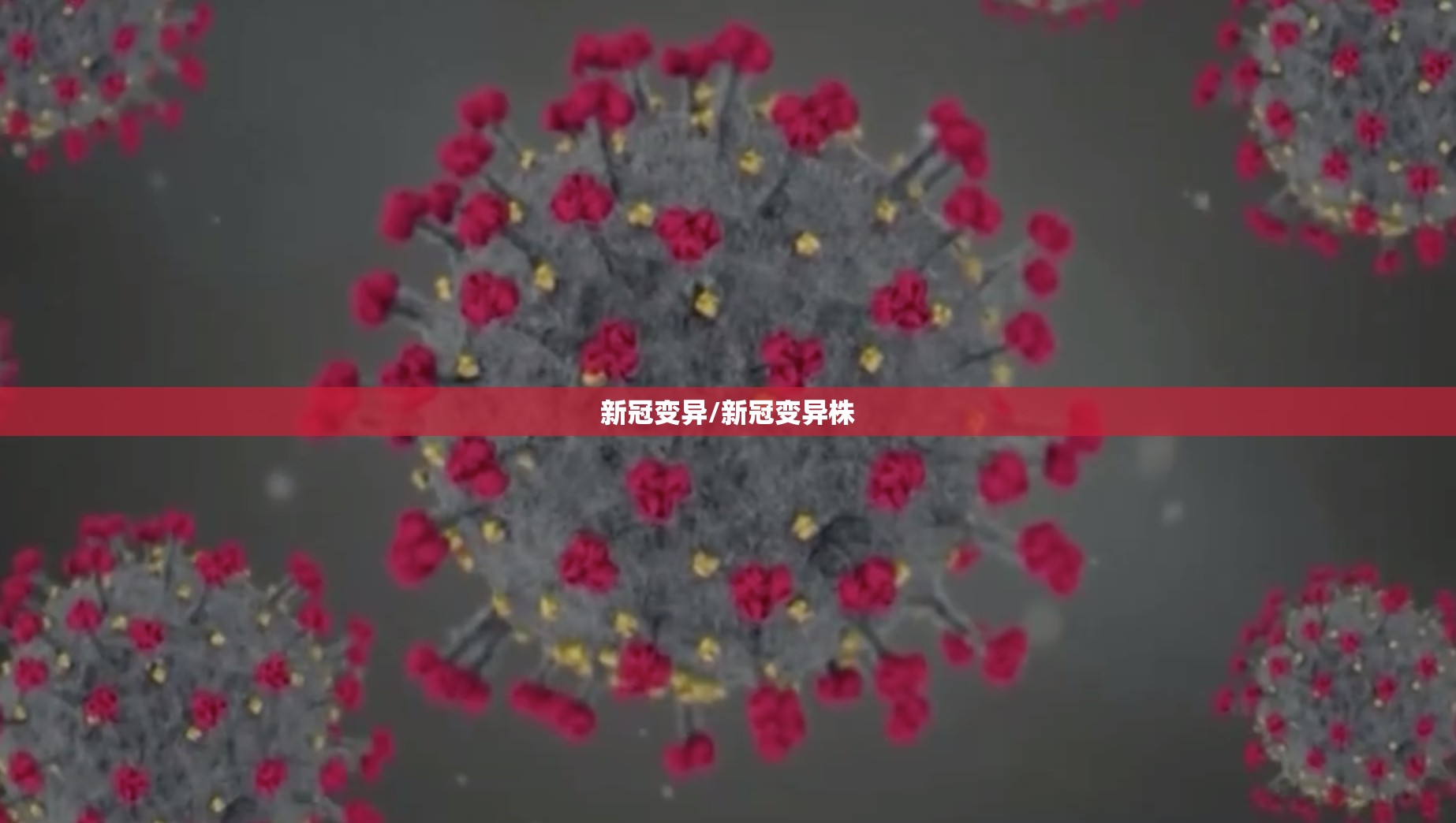 新冠变异/新冠变异株