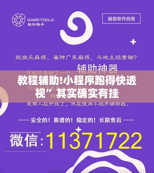 教程辅助!小程序跑得快透视”其实确实有挂