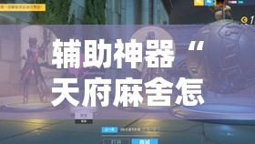 辅助神器“天府麻舍怎么开挂	”原来可以开挂