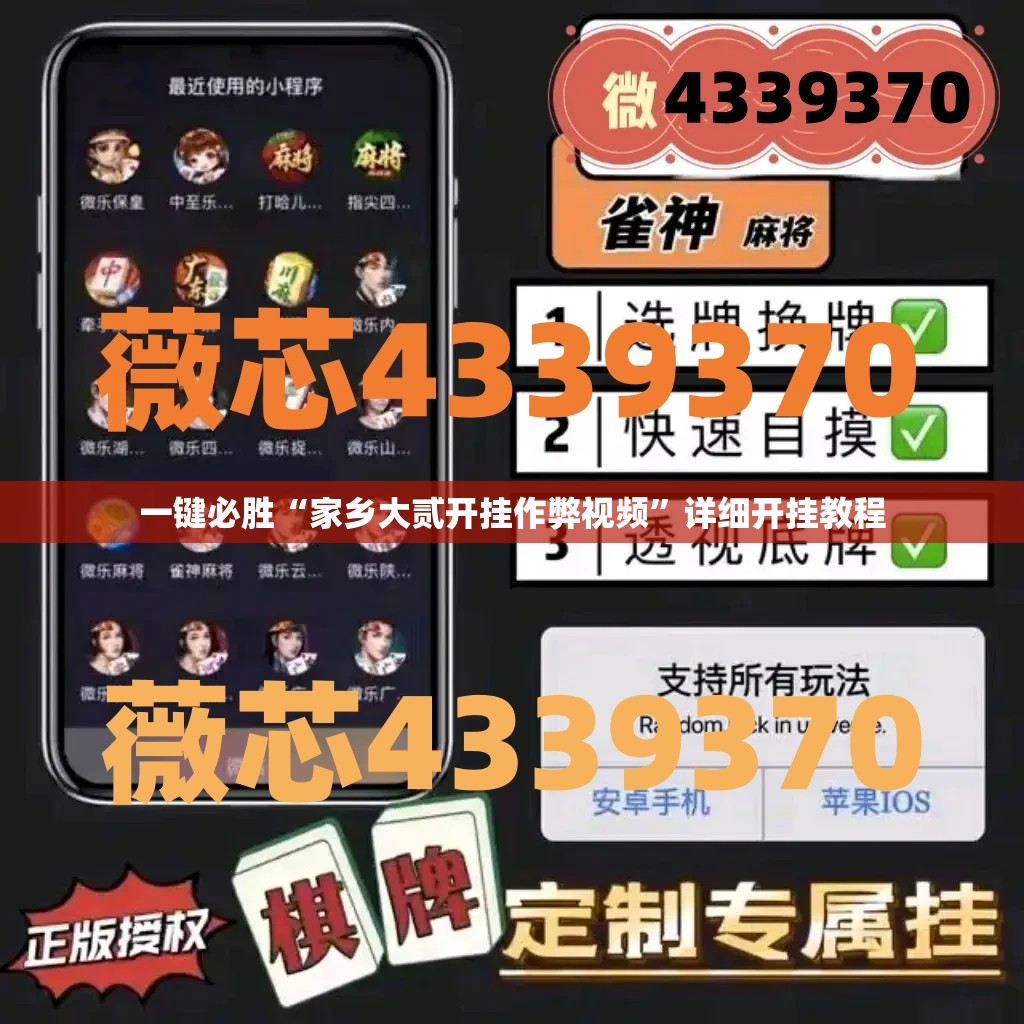 一键必胜“家乡大贰开挂作弊视频”详细开挂教程