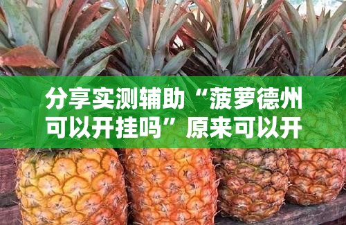 分享实测辅助“菠萝德州可以开挂吗”原来可以开挂