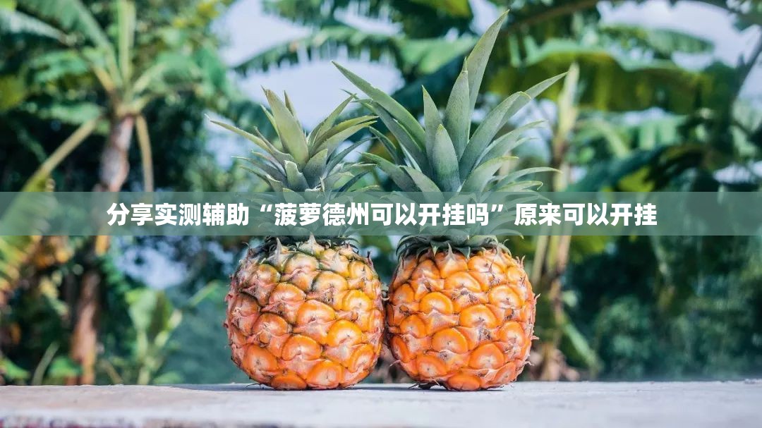 分享实测辅助“菠萝德州可以开挂吗”原来可以开挂